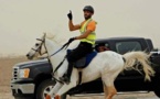 الامارات تشهد أول سباق ليلي لقدرة الخيول العربية بمسافة 120 كيلومتر