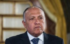 شكري:نقدر لفتات تركيا وحريصون على الحوار معها