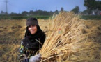التنمية المستدامة ودور المرأة الريفية في اقتصاديات الدول النامية
