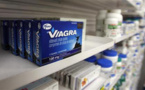 نيوزيلندا تجرب الفياغرا في المساعدة على حل مشاكل نمو الأجنة داخل الرحم
