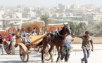 السياح يهجرون مصر مع احتدام التظاهرات والصروح التي كانت تغص بهم أقفرت