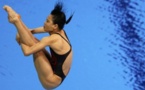 "الغطس العالي".. فكرة "ريد بول" المجنونة تخطف الأبصار من بطولة العالم للسباحة