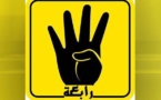 "شارة رابعة" تحرم بطل الكونغ فو من كأس العالم