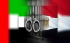 بدء محاكمة "الخلية الإخوانية المصرية الإماراتية" بأبوظبي