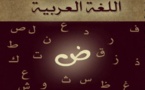 اليونسكو تعلن احتفالية ( اليوم العالمي للغة العربية ) للعام 2013 