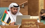  مصر تطرد سفير الإمارات  والاعلام يفتح ملفات سفراء آحرين