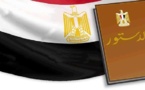 خبراء مصريون : التصويت ب " لا " على الدستور يعيد خارطة المستقبل إلى المربع صفر