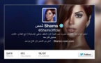 الجلد للمغرد "محامي أحلام" لسبه الفنانة شمس