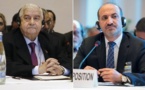 ماذا في اليوم الثاني من المفاوضات السورية - السورية في جنيف..؟ 