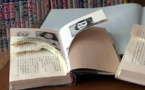 تمزيق نسخ من "مذكرات آن فرانك" في مكتبات بطوكيو