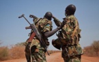 جنوب السودان على شفير الانهيار مع اشتداد الحرب