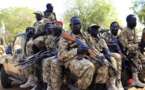 المتمردون يشنون هجوما على مدينة الناصر في جنوب السودان
