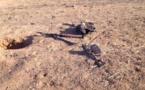  اسرائيل تستأنف عملياتها العسكرية ضد حركة حماس في غزة