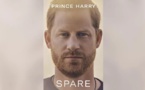 كتاب الأمير هاري الجديد “البديل” يحقق مبيعات قياسية خلال ساعات