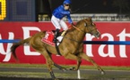 كأس دبي العالمية للخيول : افريكان ستوري مرشح للاحتفاظ باللقب