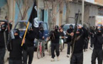 بايدن يتعهد بإرسال أسلحة إلى العراق للتصدي لتقدم تنظيم "داعش"