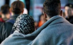 هولندا تبني أكبر مخيم للاجئين في أعماق غابة قرب الحدود الألمانية