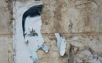  الشعب السوري الحر أسقط بشار الأسد 
