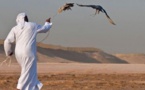 كتائب "ابوالفضل "خطفت القطريين و"منظمة بدر" تفاوض عنهم