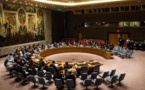  مجلس الأمن الدولي يعد مشروع قرار لوقف ضرب المشافي