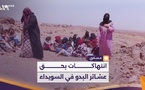 العشائر السورية بعد السويداء.. من الامتداد الاجتماعي إلى العبور العسكري