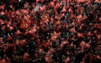 مسيرة لأنصار أردوغان في كولونيا تسبب صداعا للشرطة الالمانية