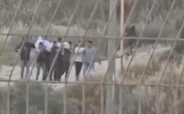  مسؤول أممي:إجبار مستوطنين لفلسطينيين على استخراج جثة"أمر مروع" 